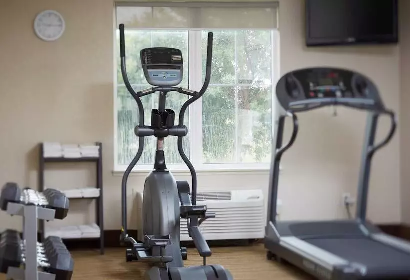 Отель Quality Inn & Suites