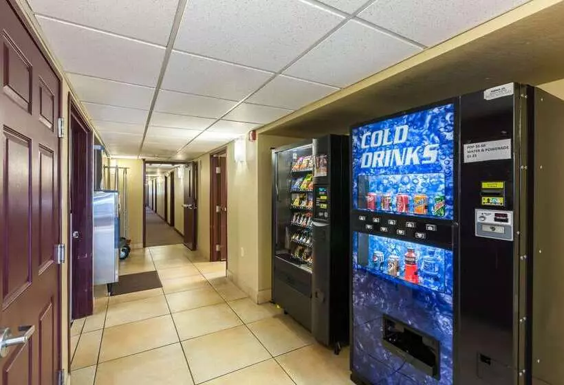 Отель Rodeway Inn