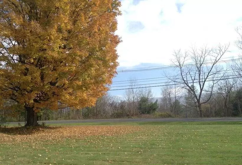 בית מלון כפרי Starlight Inn