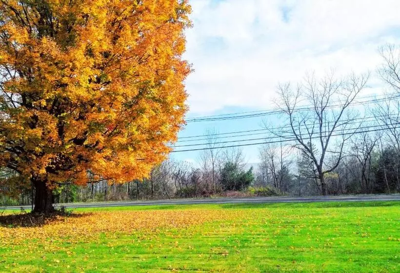 בית מלון כפרי Starlight Inn