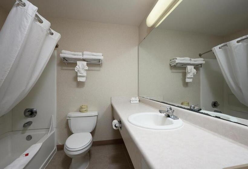 酒店 Three Rivers Inn Sedro Woolley