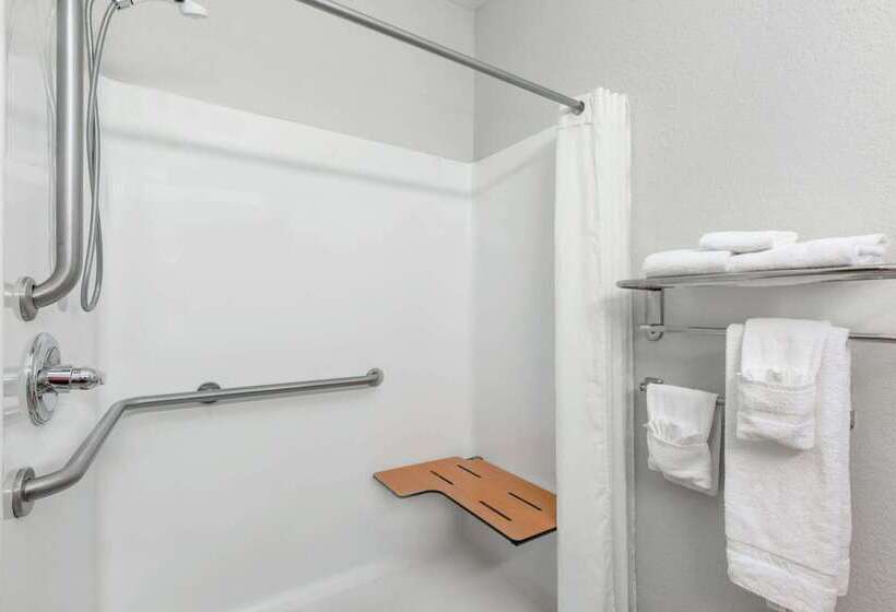 Microtel Inn & Suites By Wyndham Hoover/birmingham