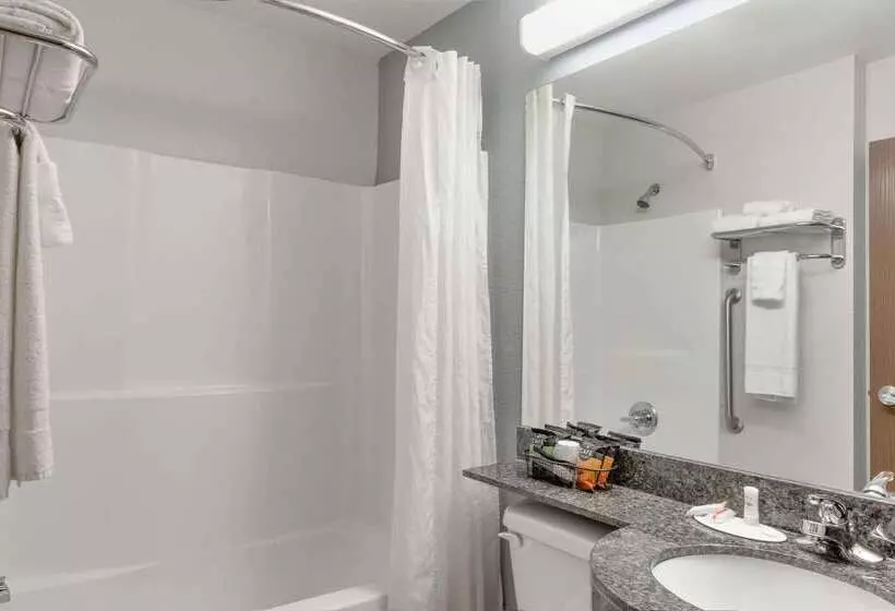 Microtel Inn & Suites By Wyndham Hoover/birmingham