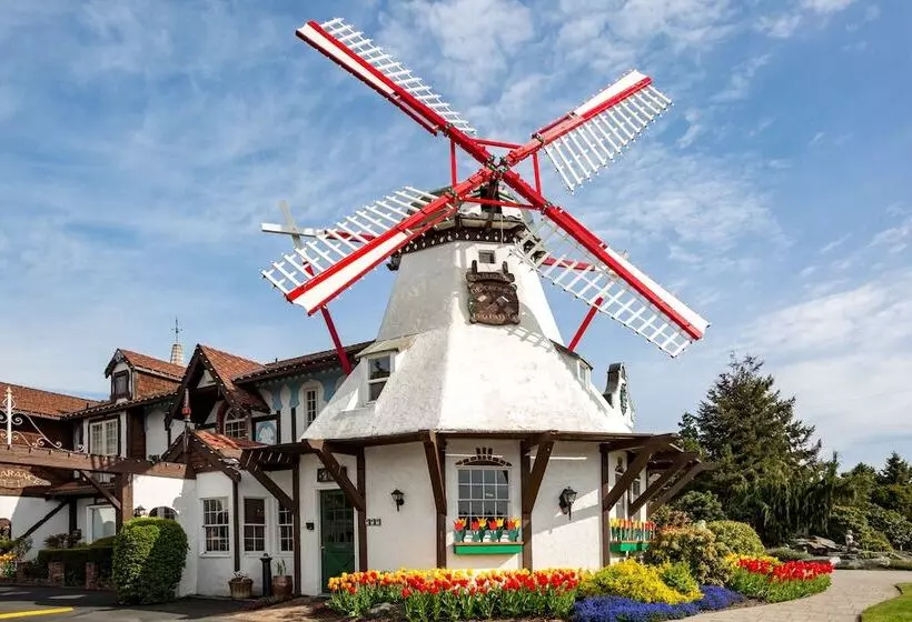 汽车旅馆  Auld Holland Inn