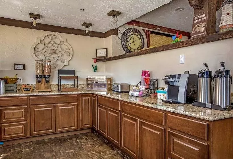 汽车旅馆  Auld Holland Inn