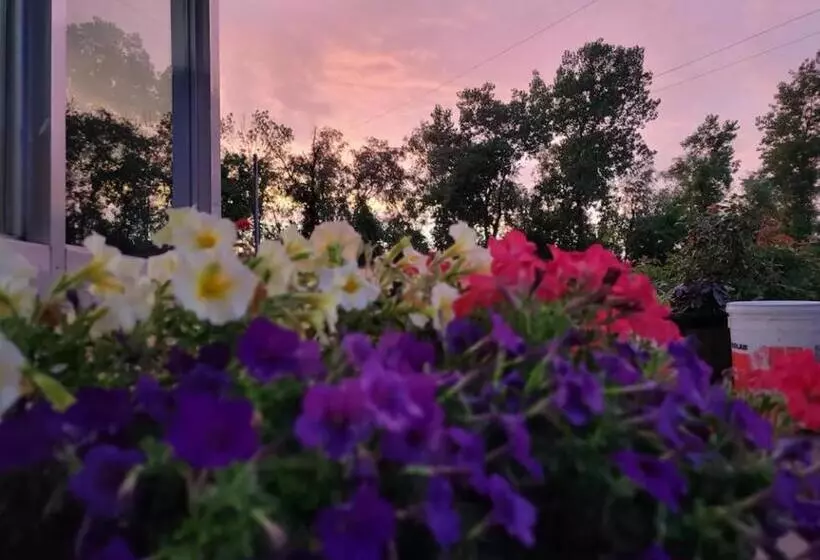 汽车旅馆 Royal Relax Inn