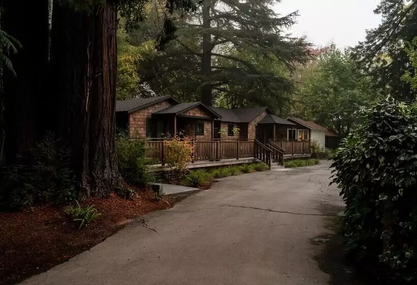 リゾートホテル Dawn Ranch