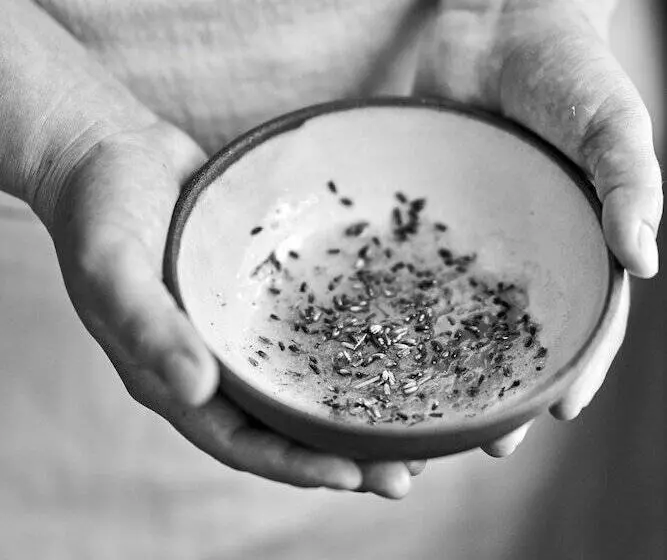 リゾートホテル Dawn Ranch