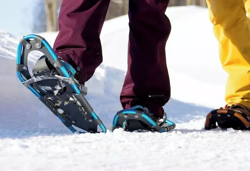 The Lodge At Cedar River, Shanty Creek Resort