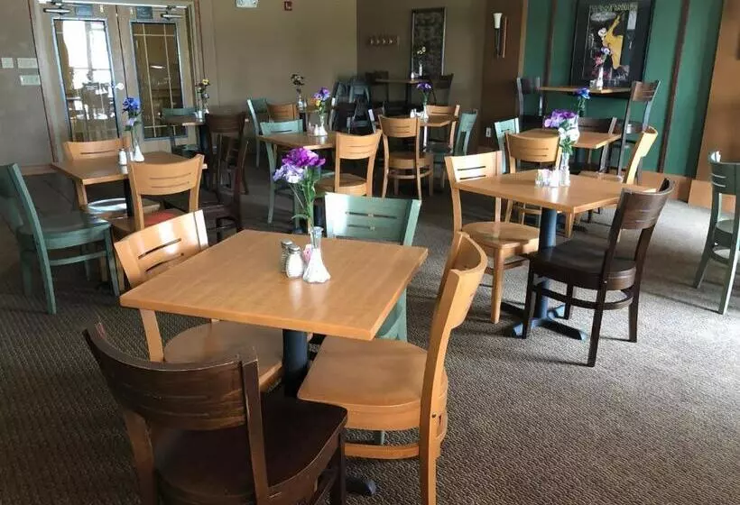 酒店 Americinn By Wyndham Princeton Il