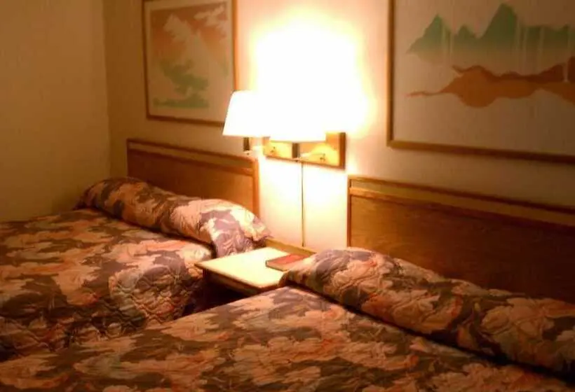 ホテル Colorado River Value Inn