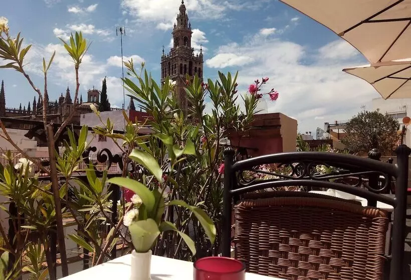 هتل Palacio Alcazar