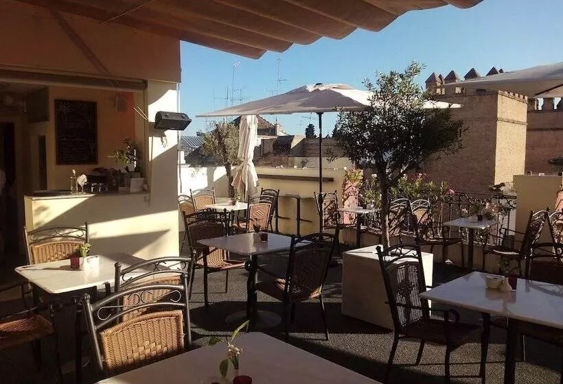 هتل Palacio Alcazar