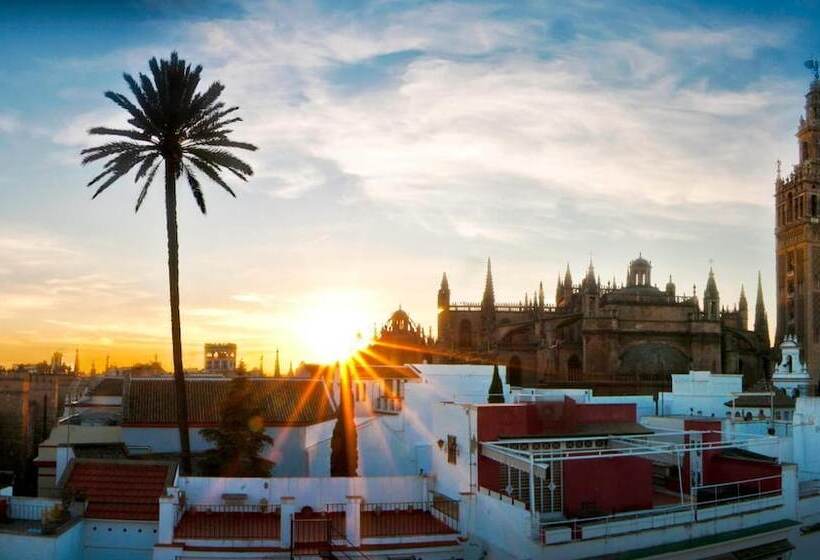 هتل Palacio Alcazar