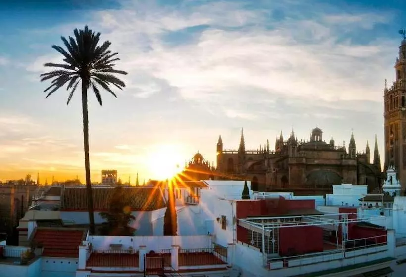 هتل Palacio Alcazar