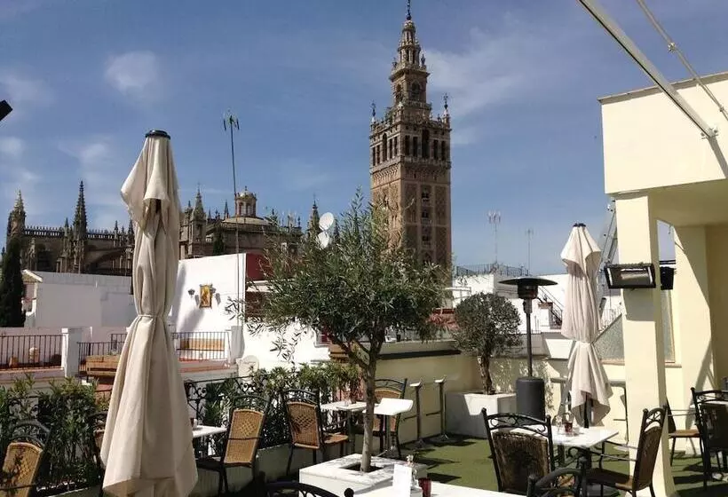 هتل Palacio Alcazar