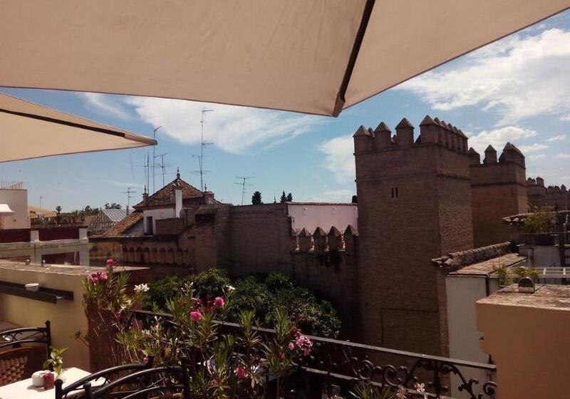 هتل Palacio Alcazar