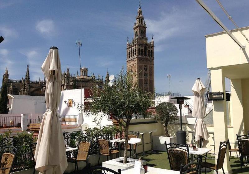 هتل Palacio Alcazar