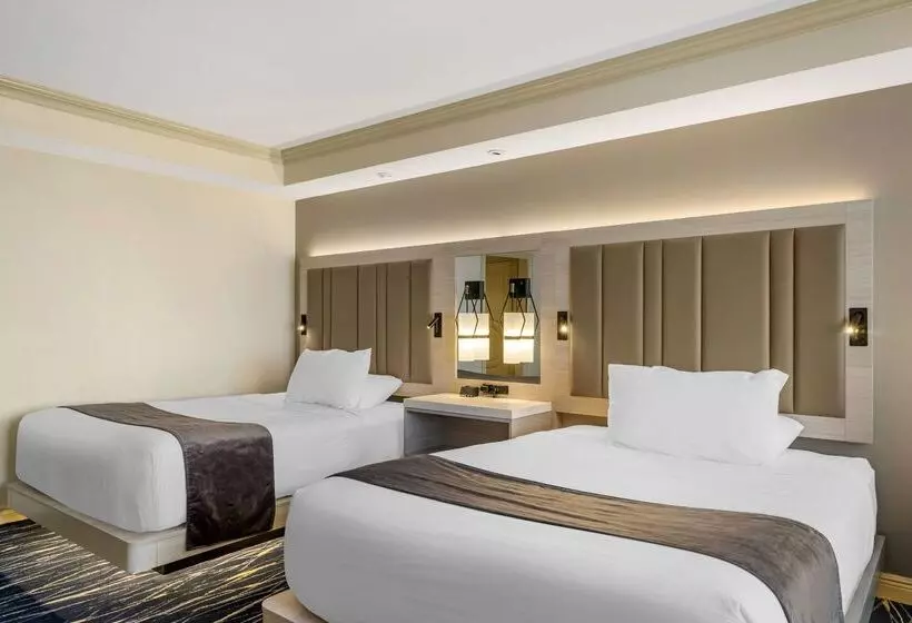 Wyvern Hotel, Ascend Hotel Collection