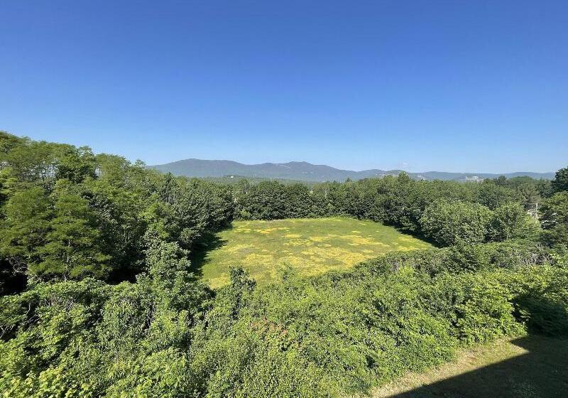 فندق على الطريق North Conway Mountain Inn