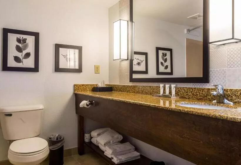 호텔 Country Inn & Suites By Radisson, Doswell Kings Dominion , Va