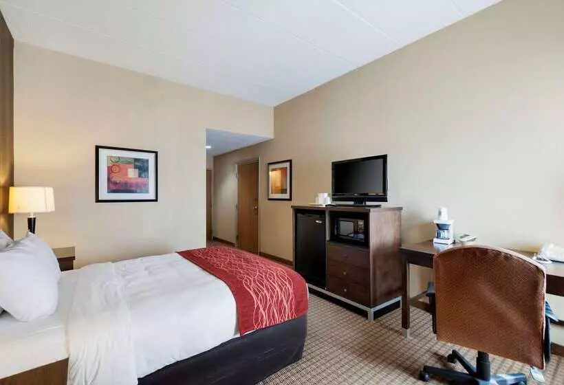 בית מלון כפרי Quality Inn & Suites Bel Air I 95 Exit 77a