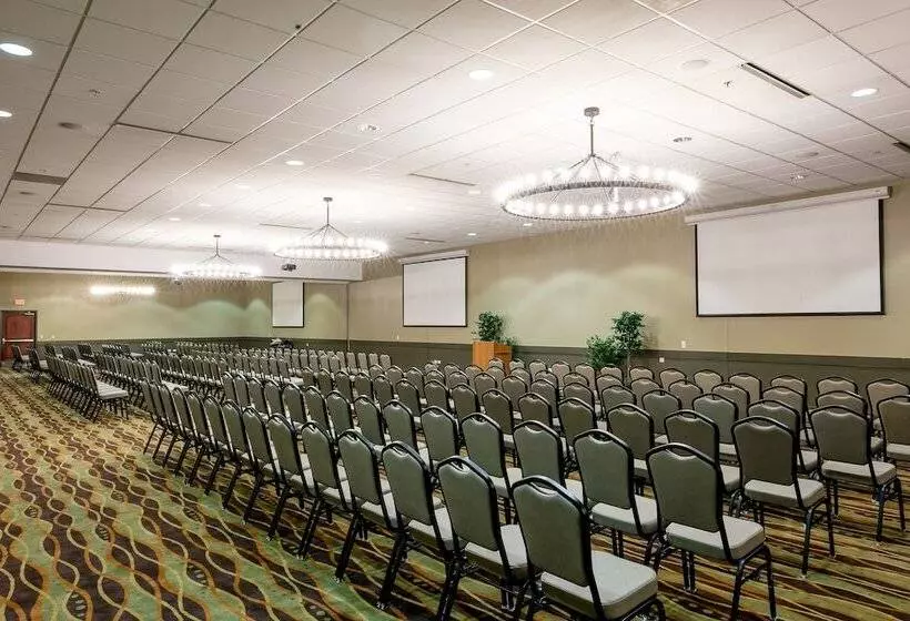 渡假胜地  Great Wolf Lodge Chicago/gurnee