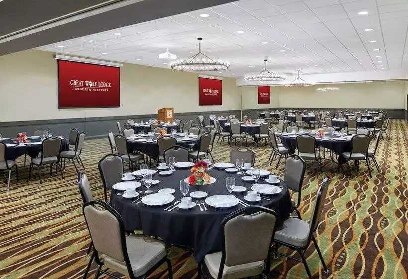 渡假胜地  Great Wolf Lodge Chicago/gurnee