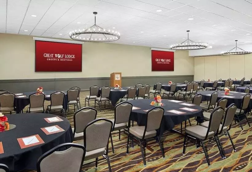 渡假胜地  Great Wolf Lodge Chicago/gurnee