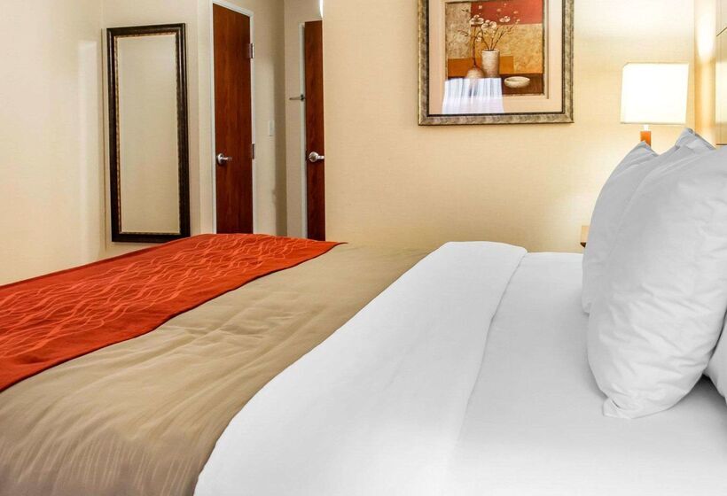 فندق Comfort Inn & Suites Franklin East