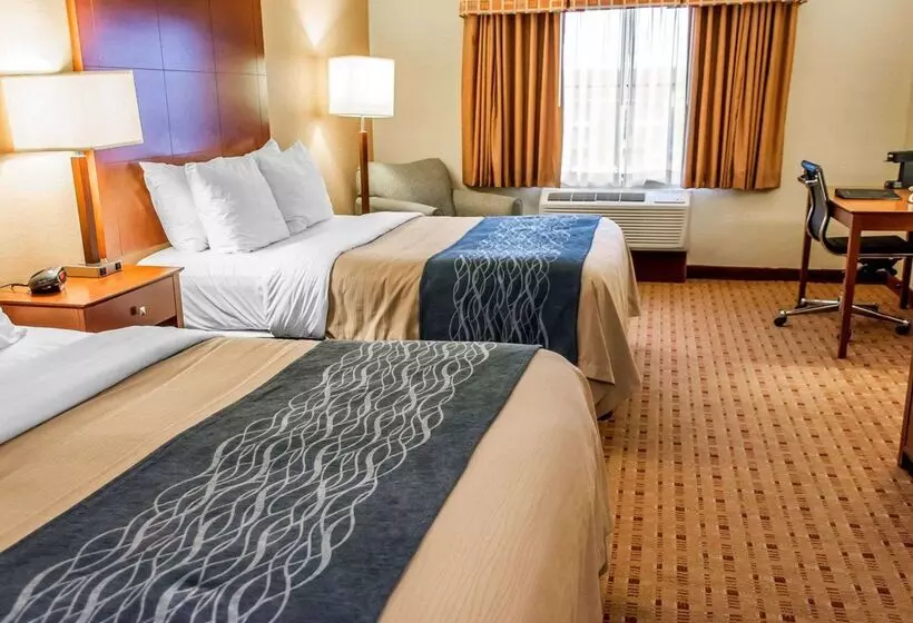 酒店 Comfort Inn & Suites Franklin East