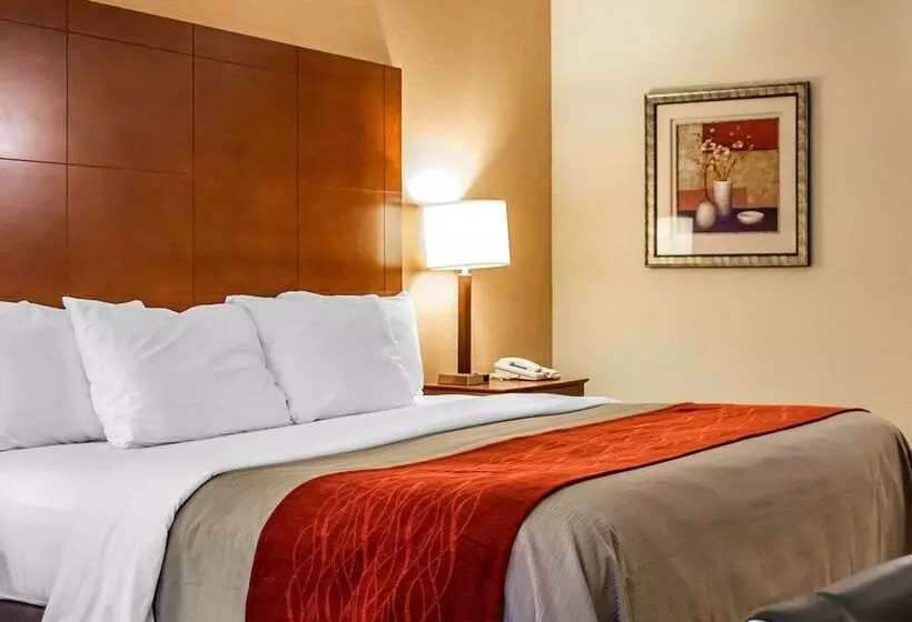 酒店 Comfort Inn & Suites Franklin East