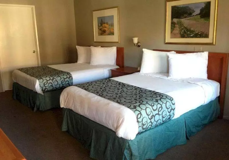 酒店 Five Star Inn