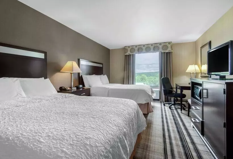 ホテル Hampton Inn Meadville