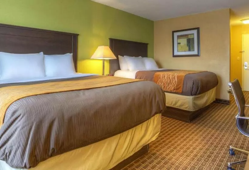 فندق Quality Inn & Suites Chattanooga East Ridge