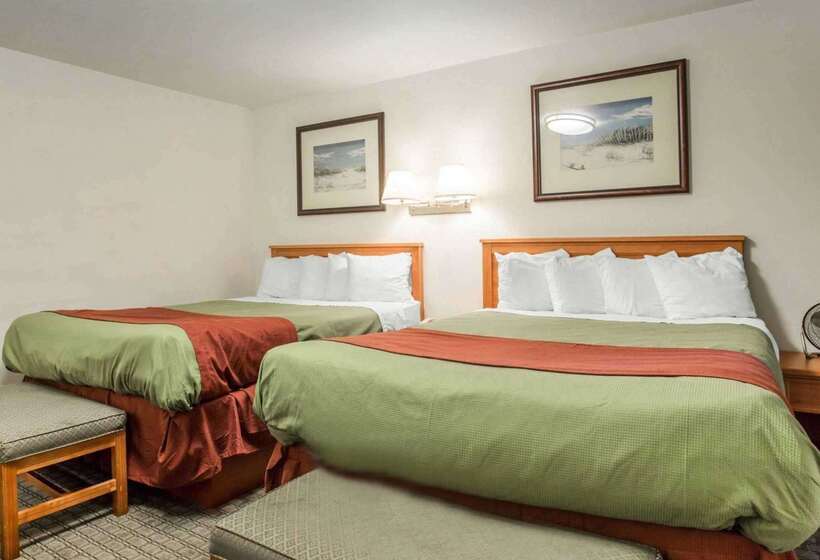 Отель Rodeway Inn