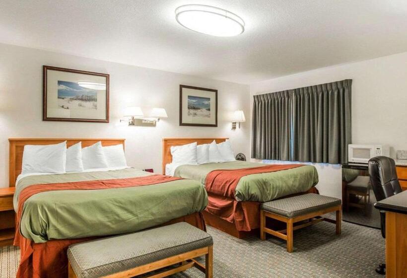 Отель Rodeway Inn