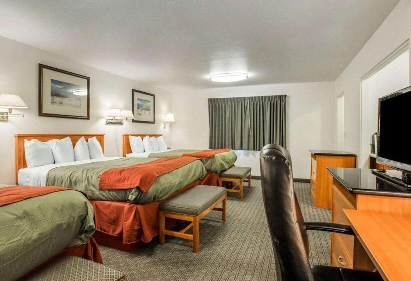 Отель Rodeway Inn