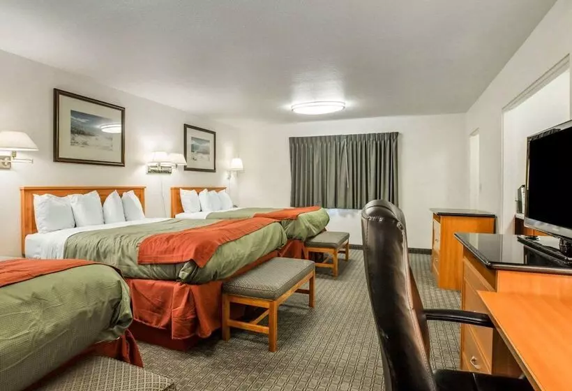 Отель Rodeway Inn