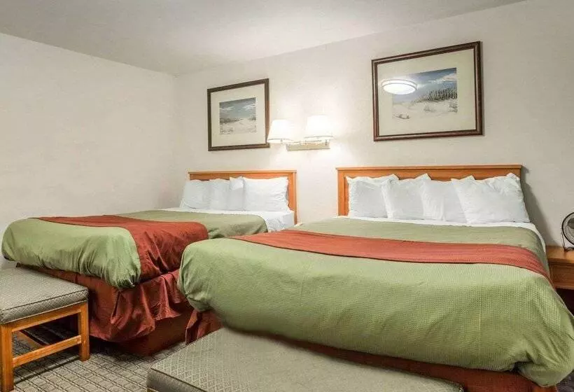 Отель Rodeway Inn