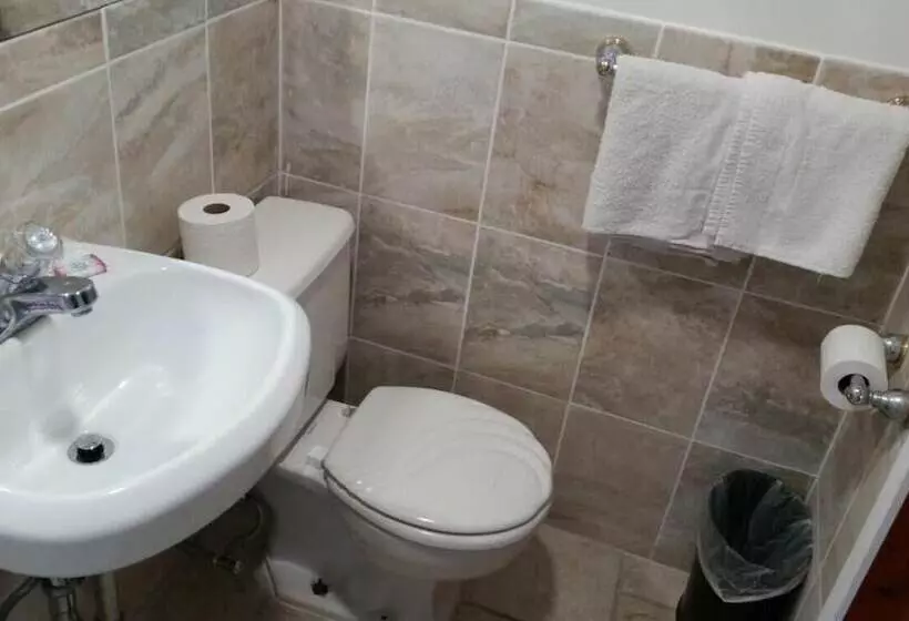 汽车旅馆 Budget Motor Inn Stony Point