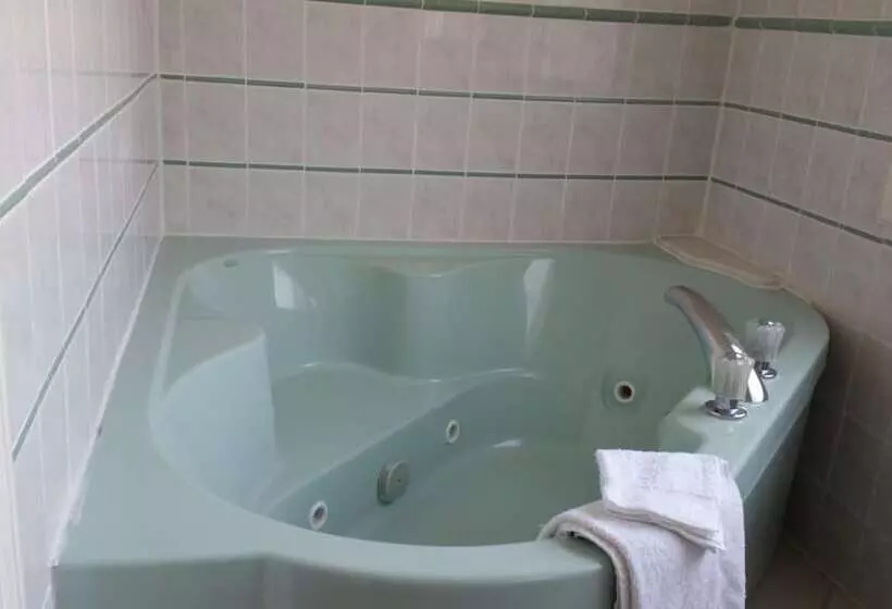 汽车旅馆 Budget Motor Inn Stony Point