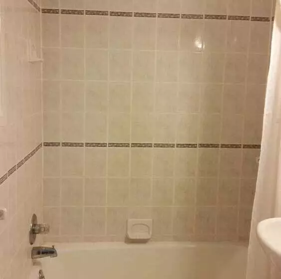 汽车旅馆 Budget Motor Inn Stony Point