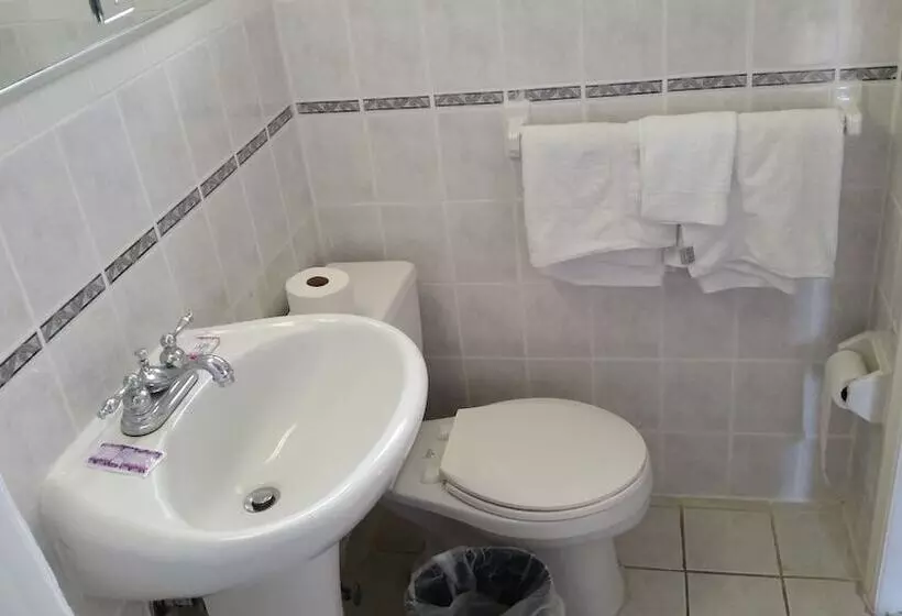 汽车旅馆 Budget Motor Inn Stony Point