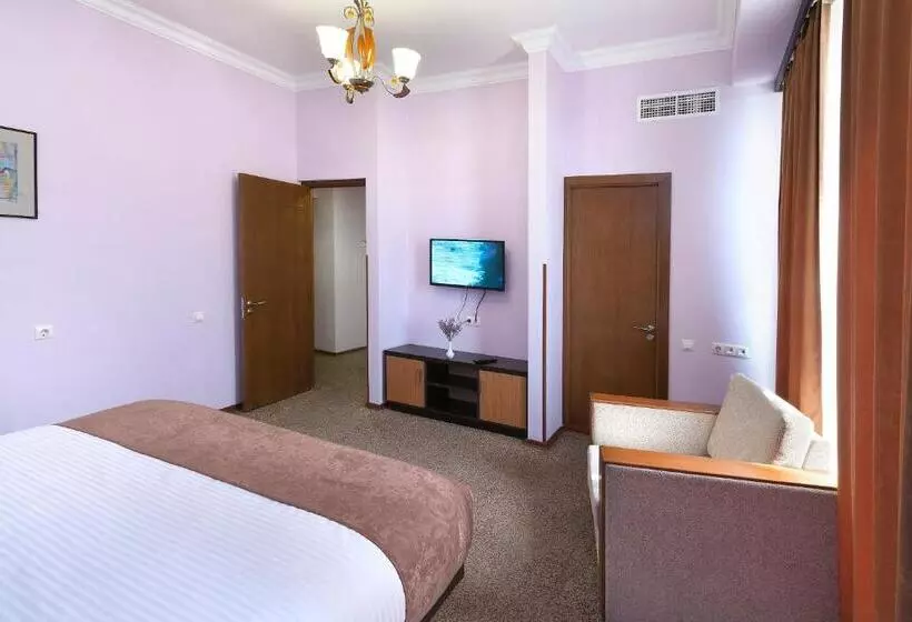 هتل Ani Central Inn