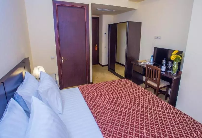 هتل Ani Central Inn