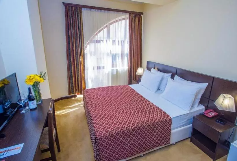 هتل Ani Central Inn