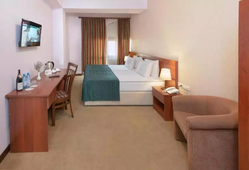 هتل Ani Central Inn