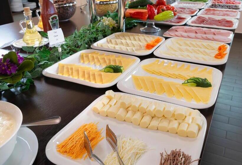 Hotelli Ani Central Inn