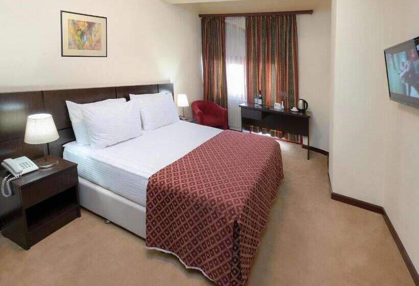 Hotelli Ani Central Inn